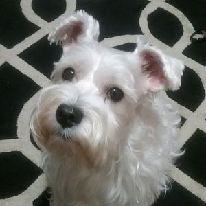 Meet your Posher, Kaori